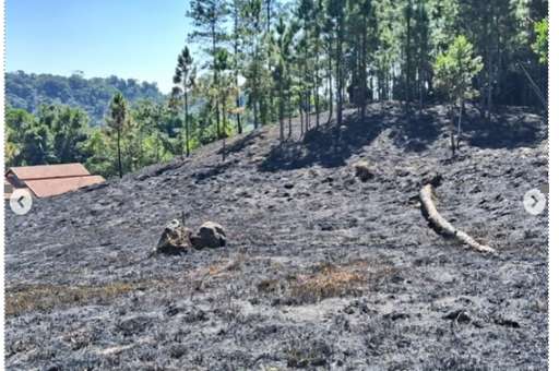 Plantio de mudas no Mirante Serra Verde (Tapiraí/ SP)